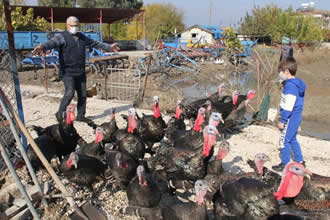 Torunun Hindi Sevgisi Dedeyi Üretici Yaptı