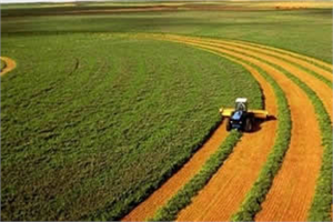 Tarımsal Hasılada Avrupa`da Lider Ülkeyiz