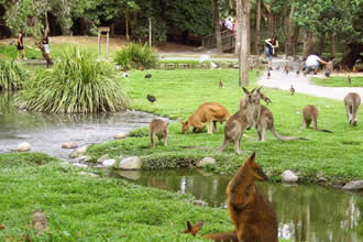 Türkiye`nin Geleneksel Habitat Bilgisi Kayıt Altına Alınıyor