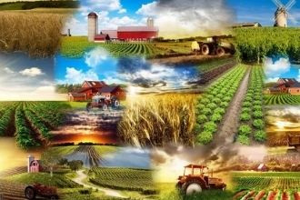 2020`de Tarım ve Hayvancılık