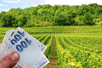 Tarımsal Danışmanlık Desteği