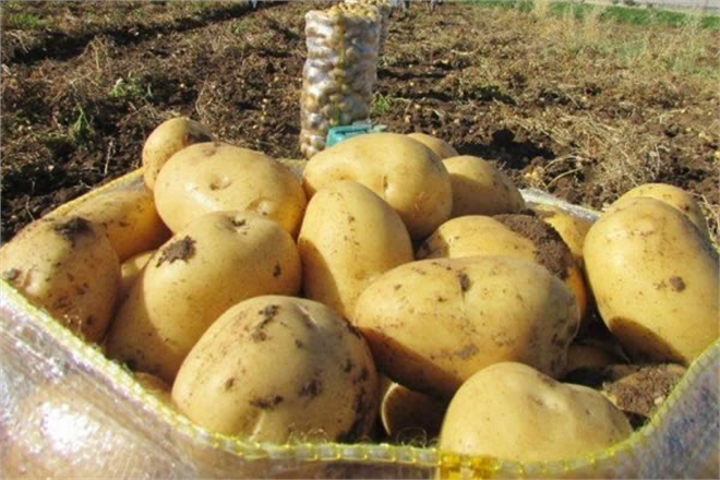 TZOB` TAN MARKET FİYATLARI AÇIKLAMASI