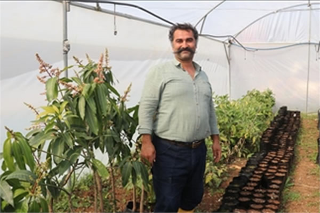 OTOMASYON ŞİRKETİNİ KAPATIP AVAKADO BAHÇESİ KURDU