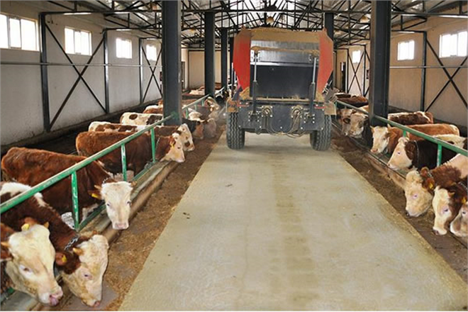 8 YILDA ÇİFTLİK SAHİBİ OLDU!