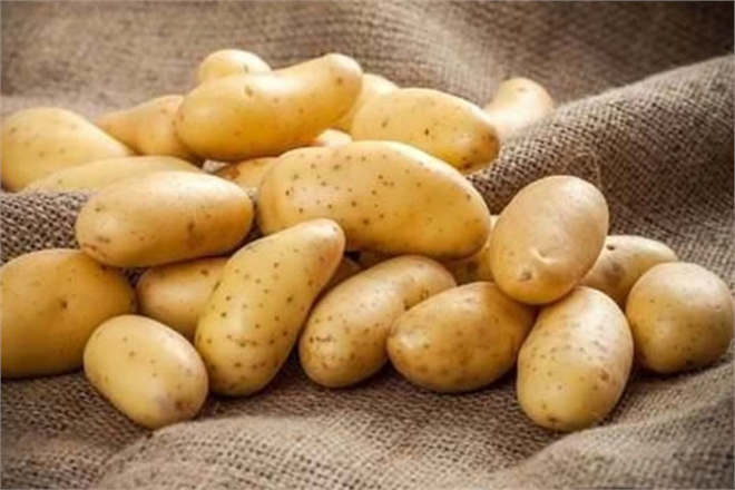GEÇTİĞİMİZ YIL 124 BİN TON PATATES İLE 220 BİN TON SOĞAN İHRAÇ EDİLDİ
