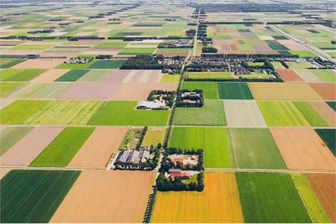 4 İLDE ARAZİ TOPLULAŞTIRMASI YAPILACAK!