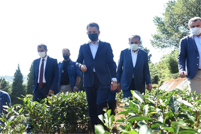 TARIMSAL DESTEK ÖDEMELERİ BUGÜN HESAPLARDA!