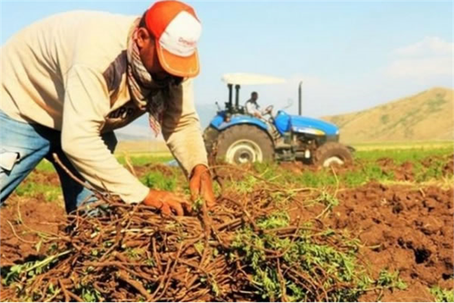 ÇİFTÇİLER YASAKTAN MUAF!