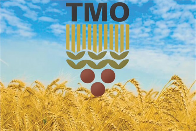 TMO HUBUBAT VE BAKLİYAT ALIM DETAYLARINI AÇIKLADI!