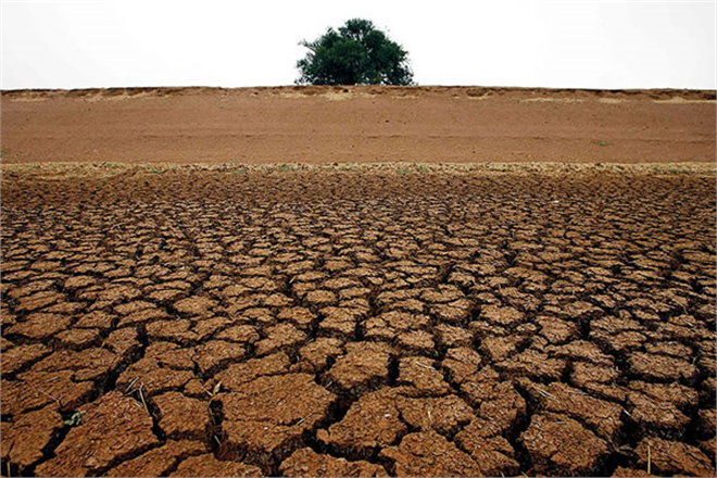 Tarımsal Üretim Dönemi Kuraklık Risk Tahmin Raporu Açıklandı!