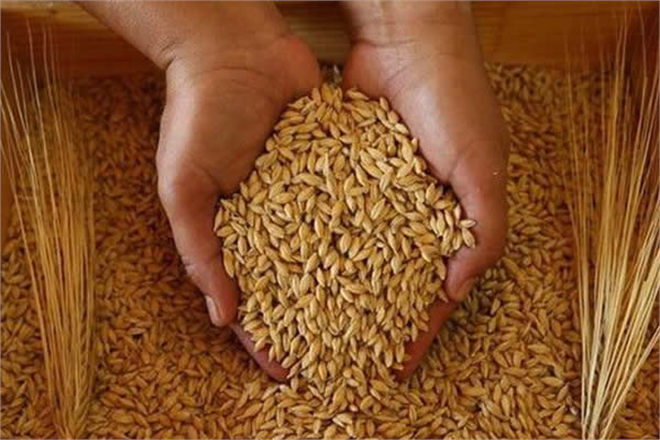 TMO MÜDAHALE PLANINI GERÇEKLEŞTİRİYOR!