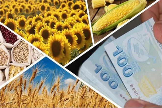 BİTKİSEL ÜRETİM DESTEKLERİ ÖDENİYOR!