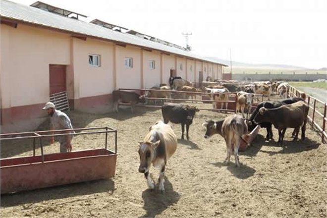 VAN`DA TARIM VE HAYVANCILIK PROJELERİNE 1,5 YILDA 24 MİLYON LİRA HİBE DESTEĞİ VERİLDİ