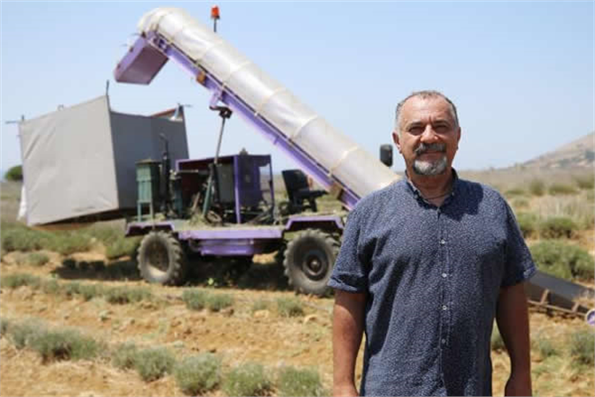 İŞÇİ BULMAKTA ZORLANAN HEKİM LAVANTA HASAT MAKİNASI GELİŞTİRDİ!