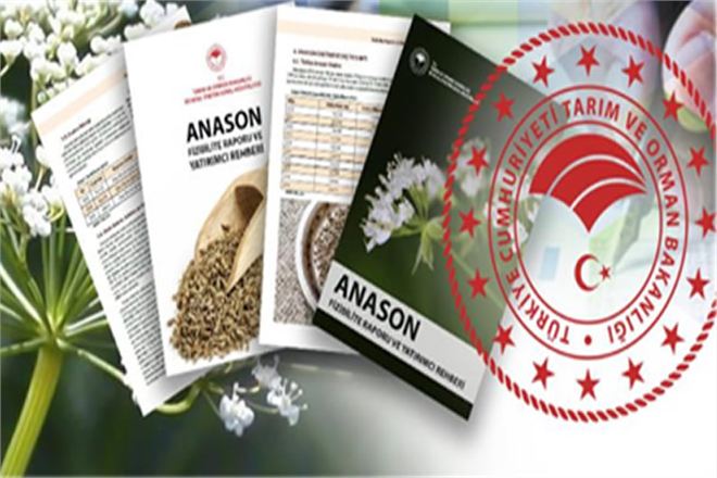 ANASON İÇİN FİZİBİLİTE RAPORU VE YATIRIMCI REHBERİ HAZIRLANDI