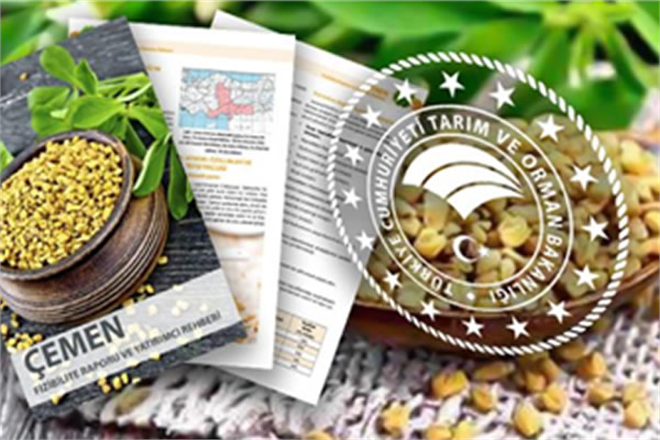 ÇEMEN İÇİN FİZİBİLİTE RAPORU VE YATIRIMCI REHBERİ HAZIRLANDI