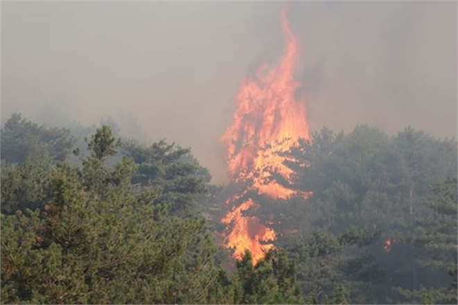 DENİZLİ`DEKİ ORMAN YANGINLARI KONTROL ALTINA ALINDI