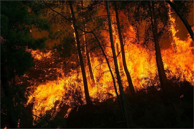YANGINLARDAN ETKİLENEN 5 İLDE NAKDİ YARDIM, BESLENME VE BARINMA FAALİYETLERİ ARALIKSIZ SÜRÜYOR