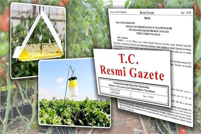 DESTEKLEMELER RESMİ GAZETEDE YAYIMLANDI!