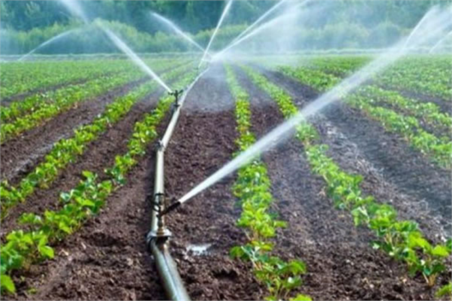 DESTEK BAŞVURU ŞARTLARI RESMİ GAZETEDE!