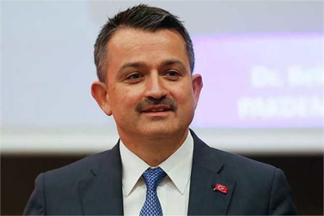 DESTEK ÖDEMELERİ BUGÜN BAŞLIYOR