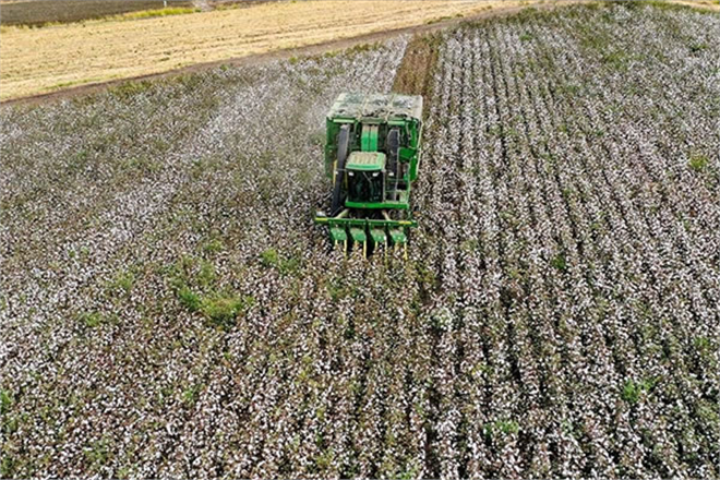 TARIM SİGORTALARINDA 2022`DEKİ RİSKLER VE DESTEKLER BELİRLENDİ