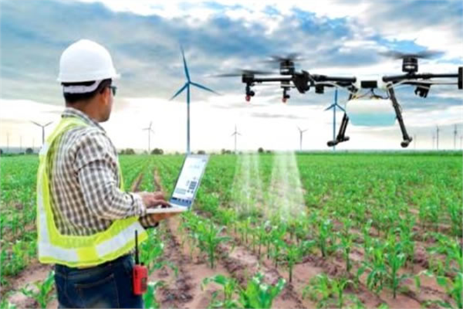 Ordu`da Fındık Bahçeleri İnsansız Hava Araçları İle İlaçlanacak