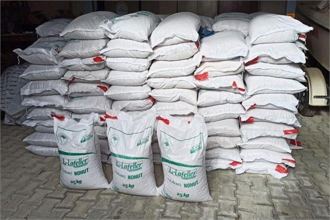 Üreticiye Hibeli Nohut Tohumu Verildi