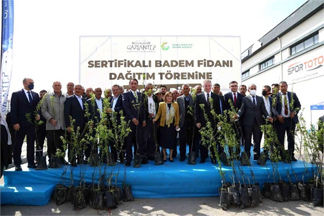 Çiftçilere 20 Bin Badem Fidanı Dağıtıldı