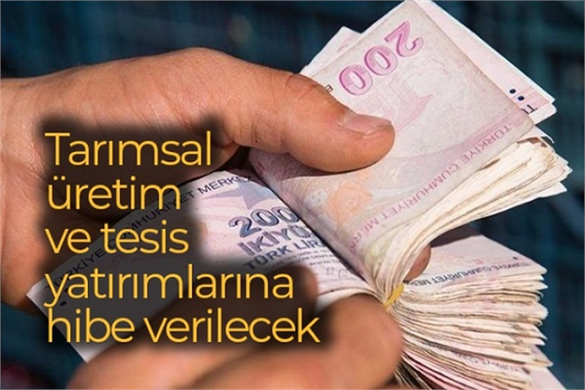 Tarımsal Üretim Ve Tesis Yatırımlarına Hibe Verilecek