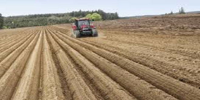 En Başarılı Ekim Nasıl Yapılır?