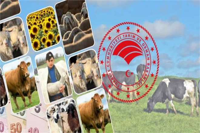 DESTEK ÖDEMELERİ BUGÜN BAŞLIYOR!