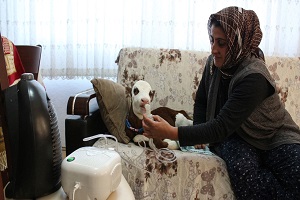 Tarımsal Girişimci Fatma Öncel`in `Kınalı Kızı`