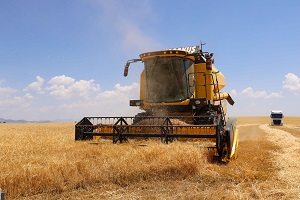 Anadolu Efes`ten Tarımsal Ekonomiye 800 Milyon TL Katkı