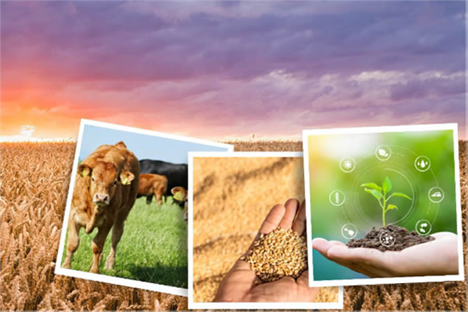 DESTEKLEMELER BUGÜN ÖDENİYOR!