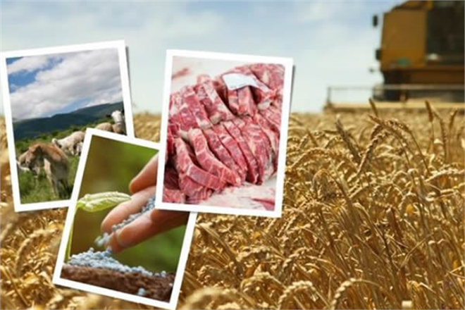 DESTEKLEME ÖDEMESİ BUGÜN HESAPLARA AKTARILACAK