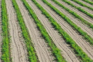 Çiftçiye Kredi Müjdesi