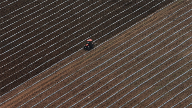 GELİR KORUMA SİGORTASI YAYGINLAŞTIRILIYOR