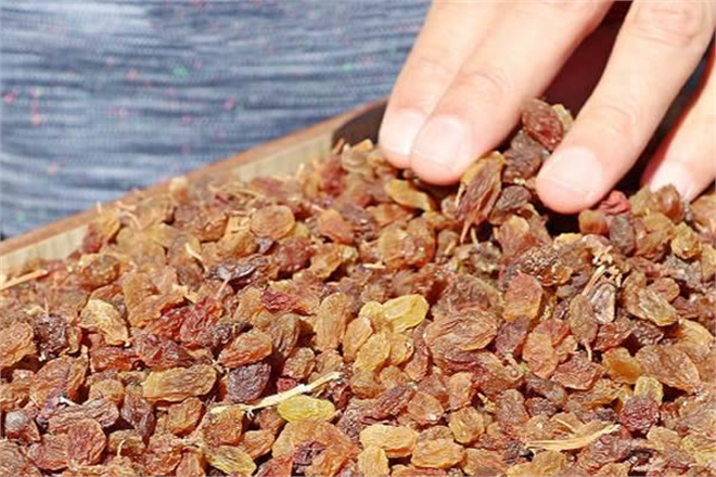 TMO Yeni Sezon Kuru Üzüm Alımına Başlıyor!