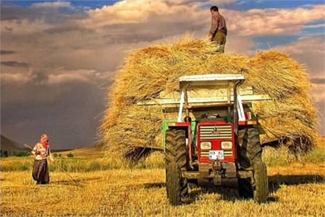 ÇKS BAŞVURU DÖNEMİ DÜZENLENDİ!