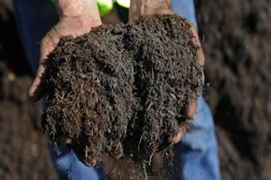 Tarım Kredi, Limitli Değil Üreticinin İhtiyacı Kadar Girdi Sağlayacak