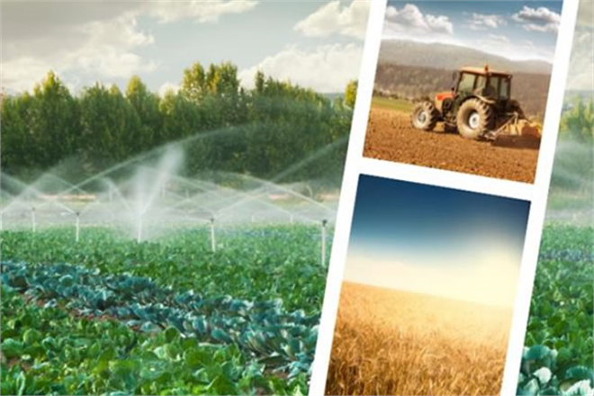 513 MİLYON LİRALIK TARIMSAL DESTEKLEME ÖDENİYOR!