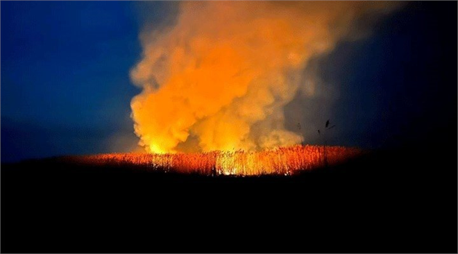 Eber Gölü Çevresindeki Kamışlık Alanda Yangın Çıktı