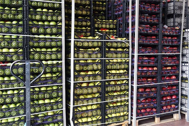 Tarım ve Orman Bakanlığına Bazı Ürünlerin İhracatına İlişkin Verilen Düzenleme Yetkisi 6 Ay Uzatıldı