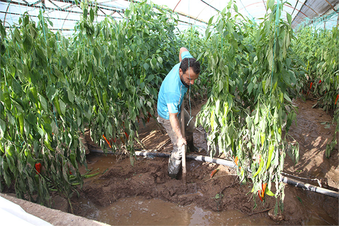 Tarım ve Orman Bakanı Kirişci, Antalya`da Selden Etkilenen Alanlarda İncelemede Bulundu