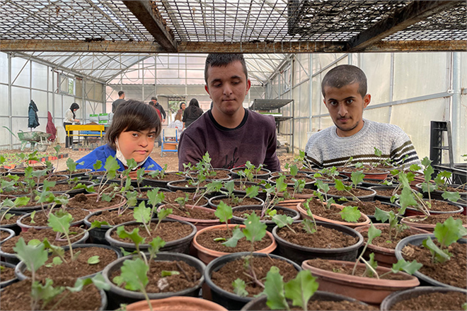 Manisa`da Özel Öğrencilerin Yetiştirdiği Çiçekler, Parkları Süslüyor
