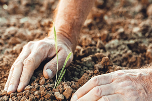 Tarımda Türkiye Yüzyılı Çalıştayı Antalya`da Başladı