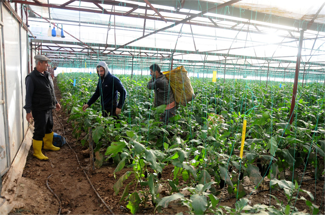 `Sel Bahanesiyle Çiftçiyi Mağdur Etmeyin` Uyarısı