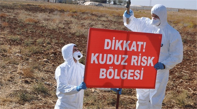 Adıyaman`da 3 Köy, Kuduz Nedeniyle Karantinaya Alındı