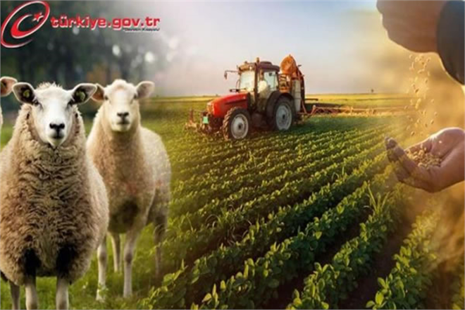 ÇKS BAŞVURULARI 31 ARALIK`TA SONA ERECEK